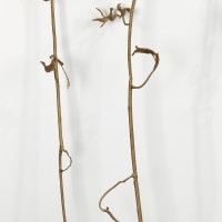 <a href=https://www.galeriegosserez.com/gosserez/artistes/vettier-aurece.html>Aurèce Vettier</a> - bitter hemp